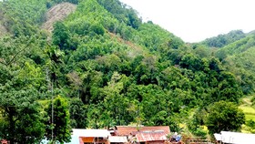 Biệt lập giữa đại ngàn