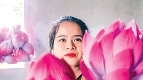 Hoa giấy Thanh Tiên góp hương xuân