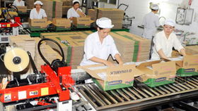 Giải tỏa áp lực cổ phần hóa 2019