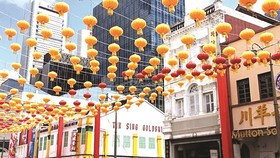 Châu Á rộn ràng chuẩn bị Tết Kỷ Hợi
