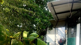 Người dân khó có thể làm thủ tục tách thửa