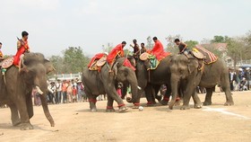 Lên Tây Nguyên xem voi đá bóng