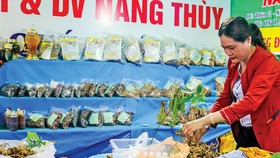 Gập ghềnh du lịch vùng sâm Ngọc Linh