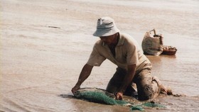 Hơn 100 tấn nghêu ở Bến Tre bị chết do độ mặn cao