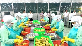 Thay đổi để xuất khẩu ổn định sang Trung Quốc