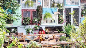 Bùng nổ homestay - ai quản?