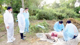 Tìm nguyên nhân phát sinh dịch tả heo châu Phi ở thôn Hiền An