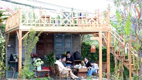 Đà Lạt loạn homestay
