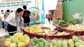 Việt Nam xuất lô xoài đầu tiên sang Mỹ