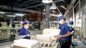 Triển vọng ngành gỗ Đông Nam bộ