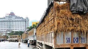 Cẩn trọng khi giao dịch xuất khẩu sang Trung Quốc