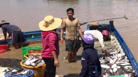 Công an tỉnh Đồng Nai vào cuộc điều tra vụ hơn 300 tấn cá bè chết