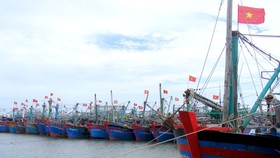 Tàu 67 vươn khơi rồi… mắc cạn