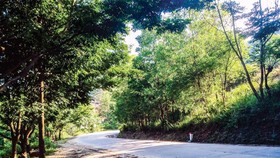 Quyến rũ đèo Le