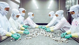 Seafood stocks impacted by negative information of MPC