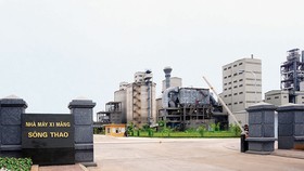 VICEM Struggles to Privatize