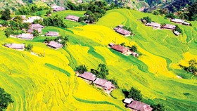 Duyên dáng “Nàng Phì”