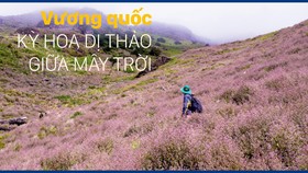 Vương quốc kỳ hoa dị thảo giữa mây trời