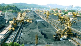 TKV thoát “nạn” nhưng chưa an toàn