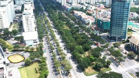 Nhiều vướng mắc trong quản lý cây xanh đô thị