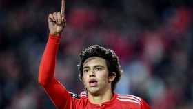 Joao Felix (Benfica)
