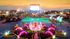 Đường hoa Rạch GIá lộng lẫy về đêm