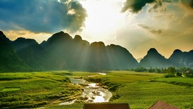 Quảng Bình: ‘Kim cương xanh’ hé sáng