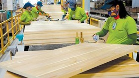 Ngành gỗ đã xác định được hướng đi phù hợp