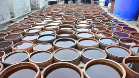 Việc lấy tiêu chuẩn nước mắm công nghiệp áp cả cho nước mắm truyền thống khiến dư luận không đồng tình. (Ảnh: Công Luật/TTXVN)