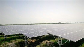 Dự án Sao Mai Solar PV2 tại tỉnh Long An, công suất 50MW hoàn thành hơn 70%.