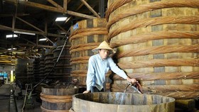 Nâng chất văn bản quy phạm pháp luật