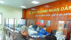TPHCM: Tăng cường giám sát hoạt động quỹ tín dụng nhân dân