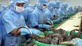 Cải cách kinh tế đang chững lại