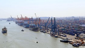 Lượng hàng hóa qua các cảng biển Việt Nam tăng mạnh