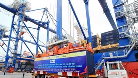 Bốc xếp lên tàu. (Ảnh: An Đăng/TTXVN)