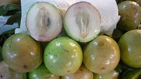 Giữ thương hiệu cho vú sữa