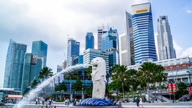 Singapore sẽ trải qua sự suy giảm mạnh nhất, với mức tăng trưởng GDP giảm từ 3,1% năm 2018 xuống 1,9% năm 2019.