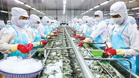 Nếu giảm giờ làm DN phải tuyển thêm lao động làm gia tăng chi phí, giá thành tăng.