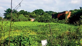 Quang cảnh thực tế dự án trên đường Dương Thị Giang.