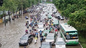 Dự án sửa chữa đường Nguyễn Hữu Cảnh sẽ làm ảnh hưởng nhiều cây xanh