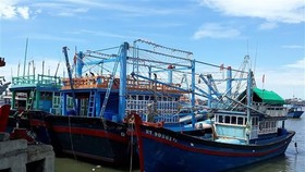 Tàu cá của ông Trần Đào (giữa, xã Phước Diêm, huyện Thuận Nam) hành nghề chụp đã nằm tại cảng Cà Ná hơn ba tháng vì hoạt động thua lỗ. (Ảnh: Nguyễn Thành/TTXVN)