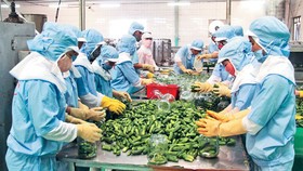 Nâng cao sức chống đỡ trong lĩnh vực thương mại, tiền tệ