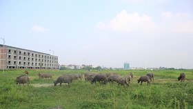 Không thu hồi thêm khi vẫn còn đất trống