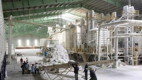 Tổng công ty Lương thực Miền Nam (Vinafood 2) đã chào bán thành công 100% số cổ phần ra công chúng với 114,8 triệu cổ phần, chiếm 22,97% vốn điều lệ. (Ảnh: TTXVN)