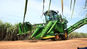 “Nữ hoàng mía đường” rót thêm 595 tỷ đồng vào cổ phiếu đường