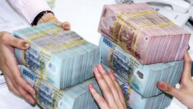 Lãi suất châu Âu xuống đáy, Việt Nam đối phó ra sao?