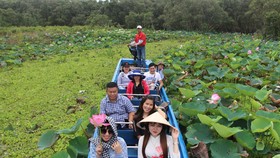 Du khách nao lòng Trà Sư mùa nước nổi.
