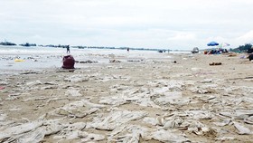 Cả một vùng bờ biển bãi Sau, Mũi Né bị phủ kín bởi rác thải
