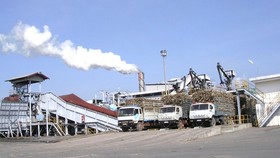 Thành viên HĐQT SBT đăng ký mua 30 triệu cổ phiếu
