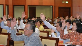 Các đại biểu biểu quyết Nghị quyết kỳ họp sáng nay (11-5). Ảnh: VIỆT DŨNG